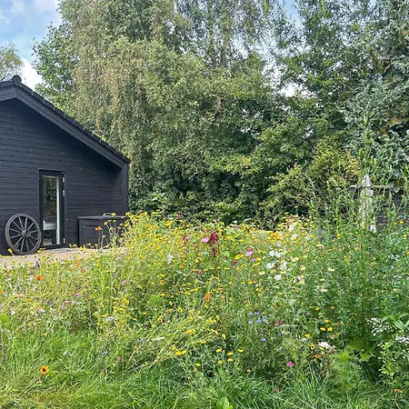 Сasa de vacaciones Cozy Home In Dronningmolle With Sauna *